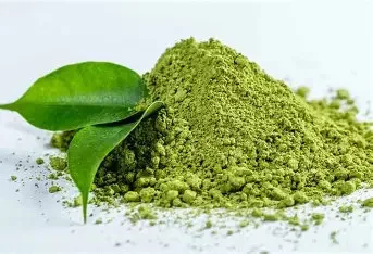 Paleolit Matcha zöldtea por 20kg lédig