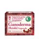 Dr. Chen Ganoderma kapszula 60 g