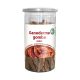 Dr. Chen Ganoderma gomba szelet 30 g