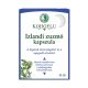 Dr. Chen Kohoflu izlandi zúzmú kapszula 40 db