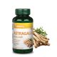 Vitaking Astragalus kivonat 90 vegán kapszula
