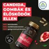 Myrobalam NoDida Candida, gombák és élősködők elleni gyógynövény-komplex 60 db vegán kapszula 100% gyógynövényőrleménnyel