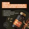 Myrobalam Vira.18 vírus & immunvédelem gyógynövény-komplex 60 db vegán kapszula 100% gyógynövényőrleménnyel