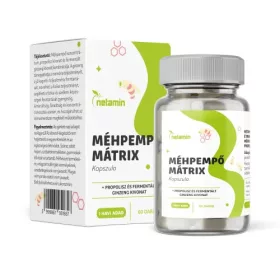   Netamin Méhpempő Mátrix kapszula + propolisz és fermentált ginzeng 60 db