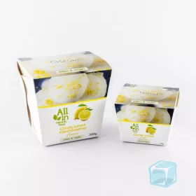 ALL IN Citrom sorbet jégkrém édesítőszerrel 120 g