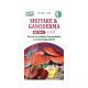 Dr. Chen Shiitake és Ganoderma tea 20 g