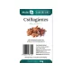 Multi 4u countryside csillagánizs válogatott 10 g
