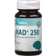 Vitaking nad+250 250mg kapszula 60 db