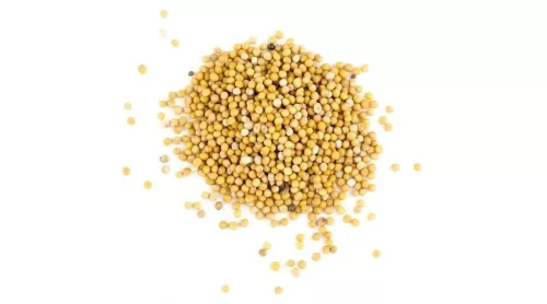 Szafi Reform Paleo Mustármag egész 50 g