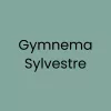 Gymnema Sylvestre
