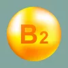 B2-vitamin (Riboflavin)